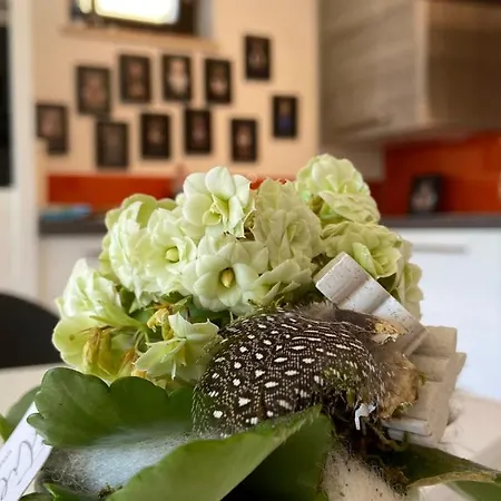 Stilvolle In Idyllischer Lage